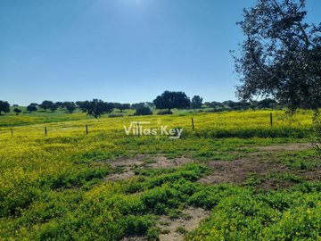 idb6a3a901-0000-0500-0000-000016d51791