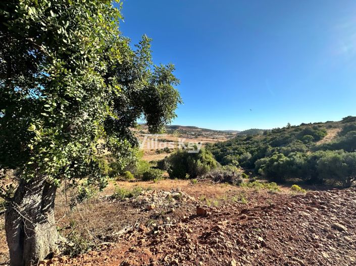 Image No.10-Plot for sale