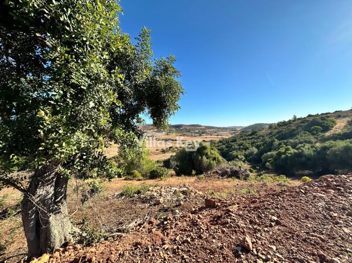 Image No.19-Plot for sale