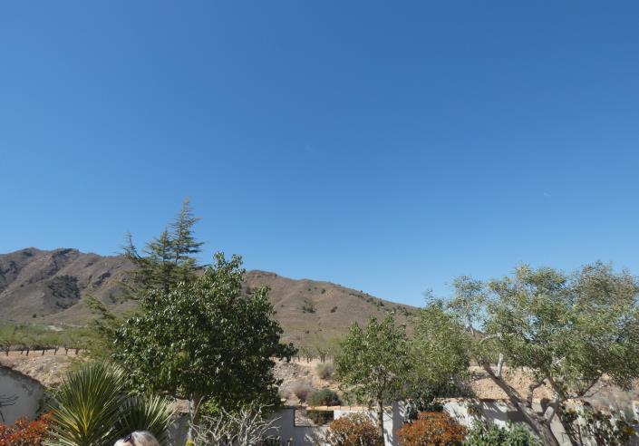 Image No.44-Propriété de pays de 3 chambres à vendre à La Pinilla