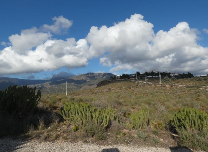 Image No.4-Propriété de pays de 6 chambres à vendre à Aledo