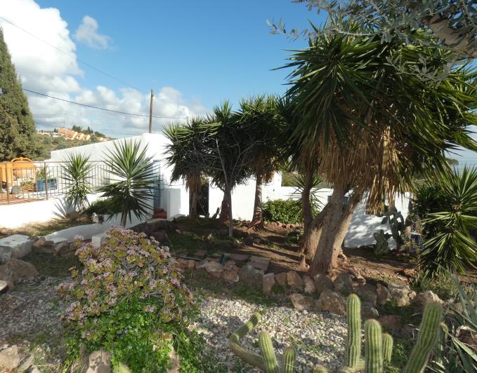 Image No.51-Propriété de pays de 6 chambres à vendre à Aledo