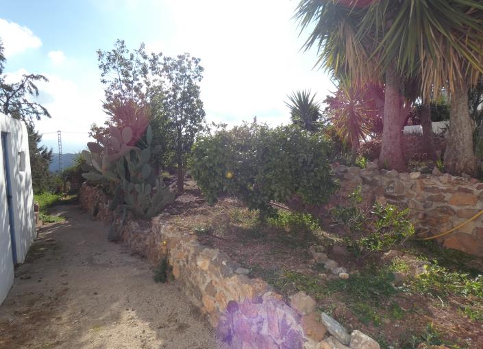 Image No.54-Propriété de pays de 6 chambres à vendre à Aledo