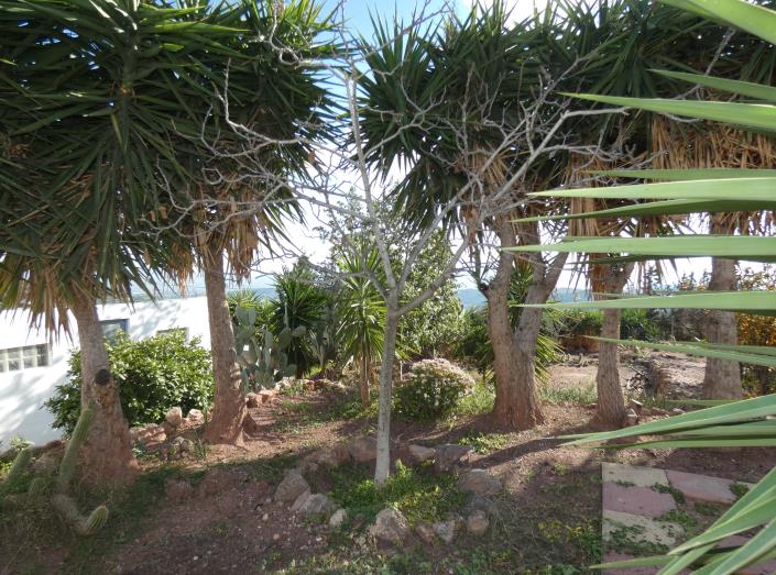 Image No.56-Propriété de pays de 6 chambres à vendre à Aledo