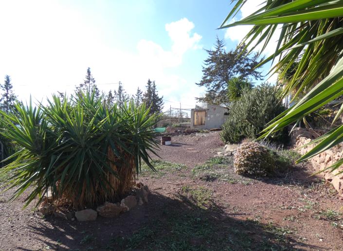 Image No.60-Propriété de pays de 6 chambres à vendre à Aledo