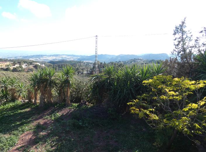 Image No.61-Propriété de pays de 6 chambres à vendre à Aledo