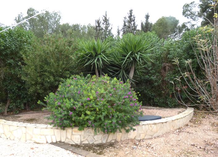 Image No.56-Maison de campagne de 3 chambres à vendre à Mazarron