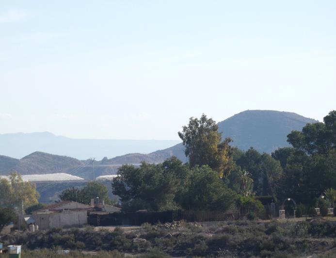 Image No.45-Propriété de pays de 5 chambres à vendre à Totana