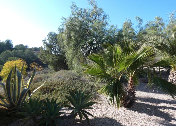 Image No.58-Propriété de pays de 5 chambres à vendre à Totana