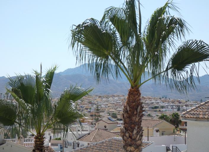 Image No.41-3 Bed Villa / Detached for sale