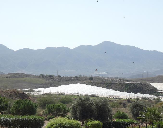 Image No.20-Villa / Détaché de 2 chambres à vendre à Mazarron Country Club