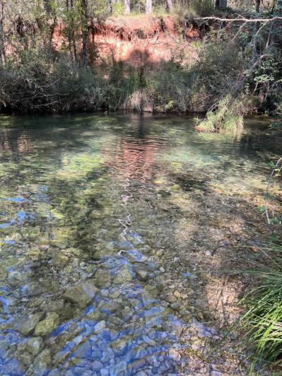 Image No.23-3 Bed Country House for sale