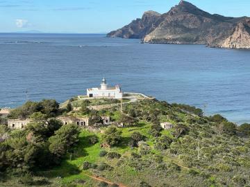 WhatsApp-Image-2025-03-15-at-10-52-23