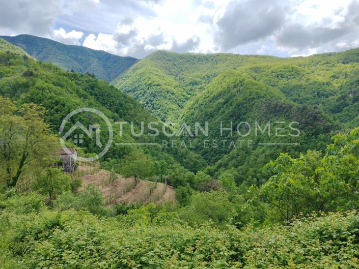 Image No.11-Maison / Villa de 3 chambres à vendre à Gallicano