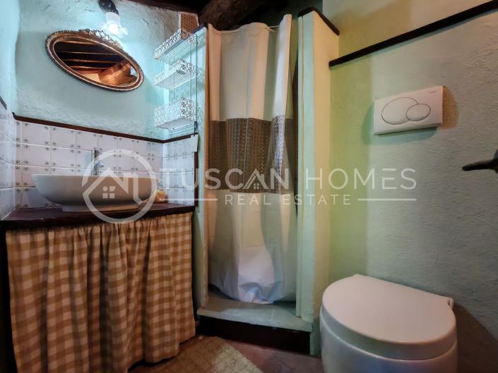 Image No.18-Ferme de 3 chambres à vendre à Molazzana