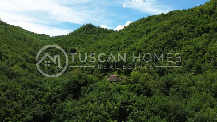 Image No.21-Ferme de 3 chambres à vendre à Molazzana