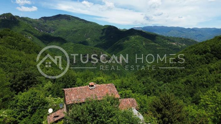Image No.13-Ferme de 3 chambres à vendre à Molazzana