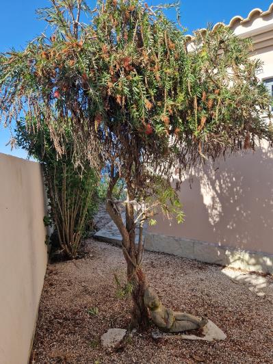 Image No.25-Villa de 1 chambre à vendre à Zante