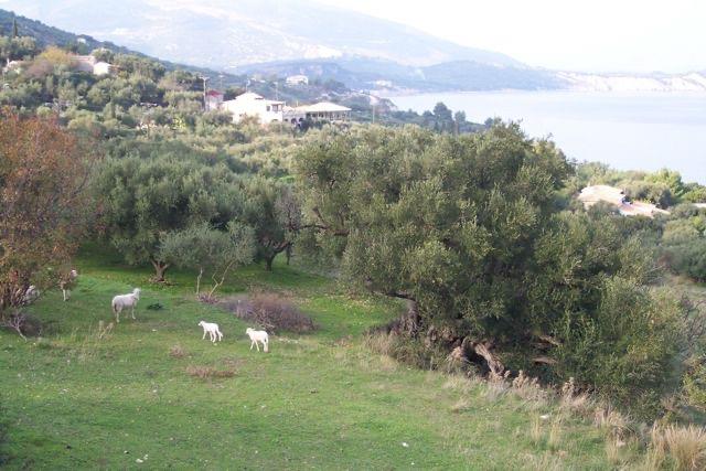 Image No.22-Maison / Villa de 4 chambres à vendre à Zante