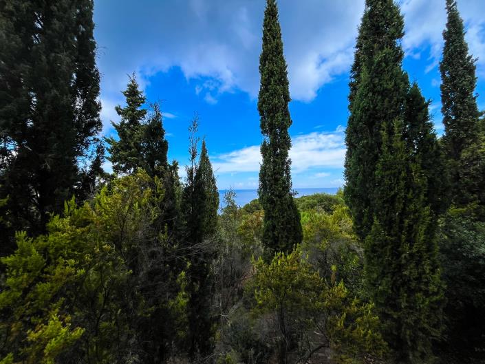 Image No.53-Villa / Détaché de 6 chambres à vendre à Zante