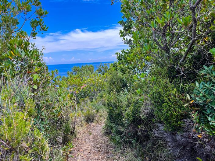 Image No.25-Villa / Détaché de 6 chambres à vendre à Zante