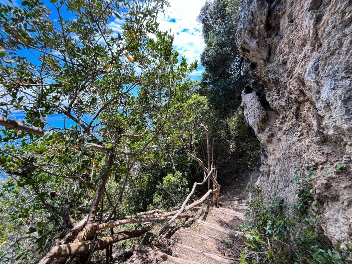 Image No.27-Villa / Détaché de 6 chambres à vendre à Zante