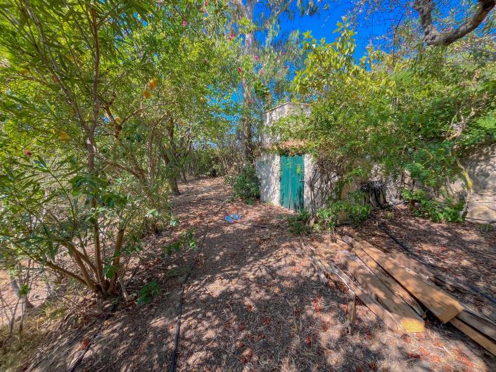 Image No.34-Maison / Villa de 4 chambres à vendre à Zante