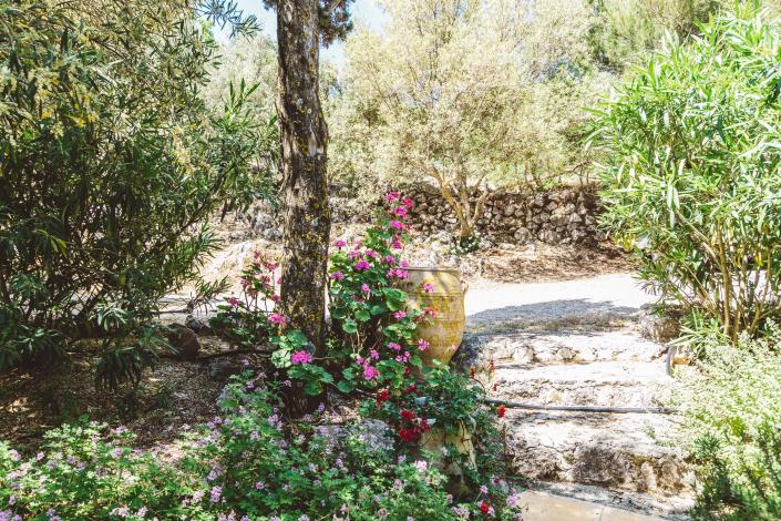 Image No.43-Villa / Détaché de 4 chambres à vendre à Zante