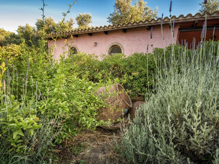 Image No.5-Villa / Détaché de 8 chambres à vendre à Zante