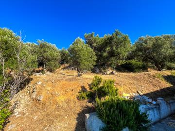 06d086ed-7a6b-4ae9-ba14-0eae12b7862f