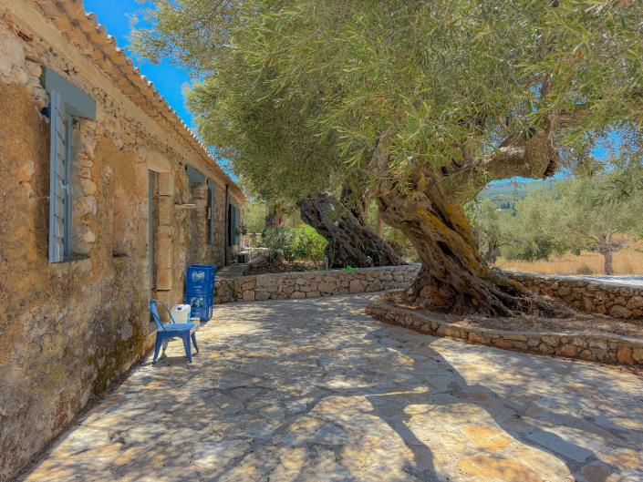 Image No.3-Maison / Villa de 8 chambres à vendre à Zante