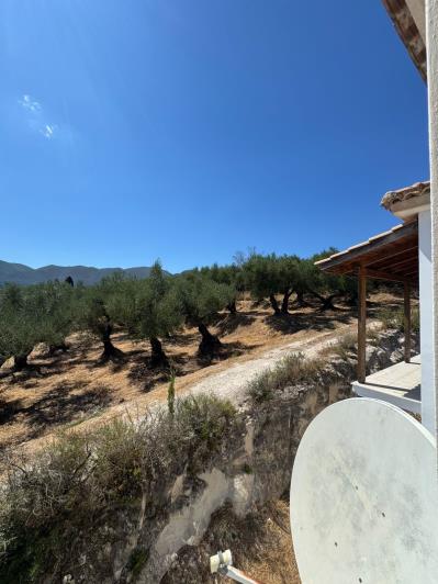 Image No.38-Maison / Villa de 4 chambres à vendre à Zante