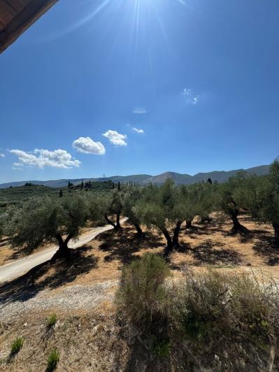 Image No.40-Maison / Villa de 4 chambres à vendre à Zante