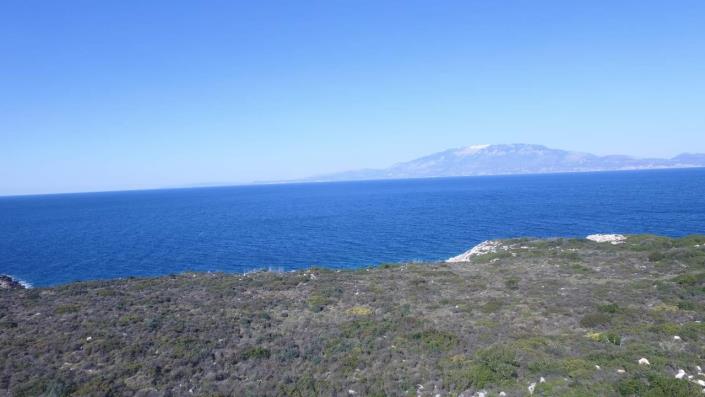 Image No.5-Terre à vendre à Zante