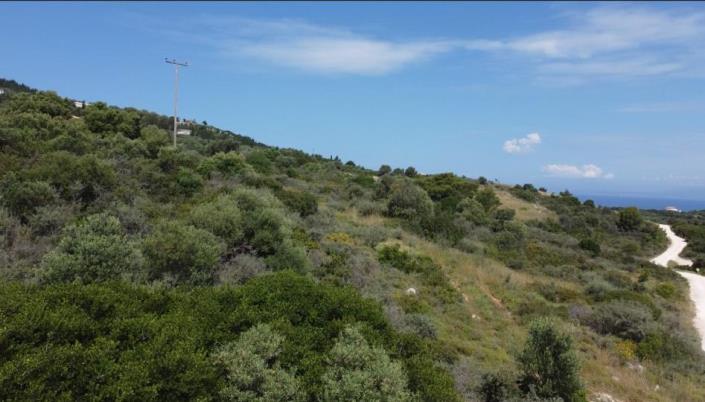 Image No.4-Terre à vendre à Zante