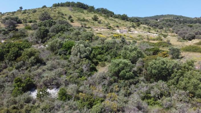 Image No.5-Terre à vendre à Zante