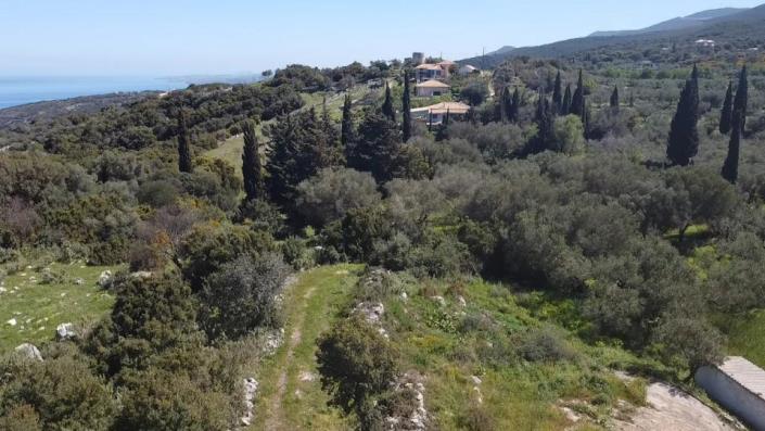 Image No.3-Terre à vendre à Zante