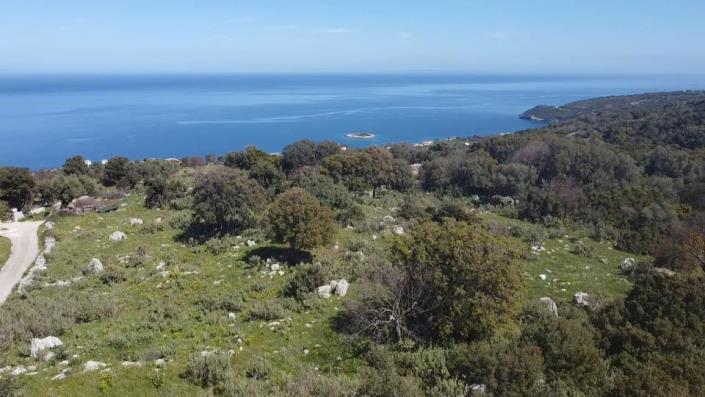 Image No.5-Terre à vendre à Zante