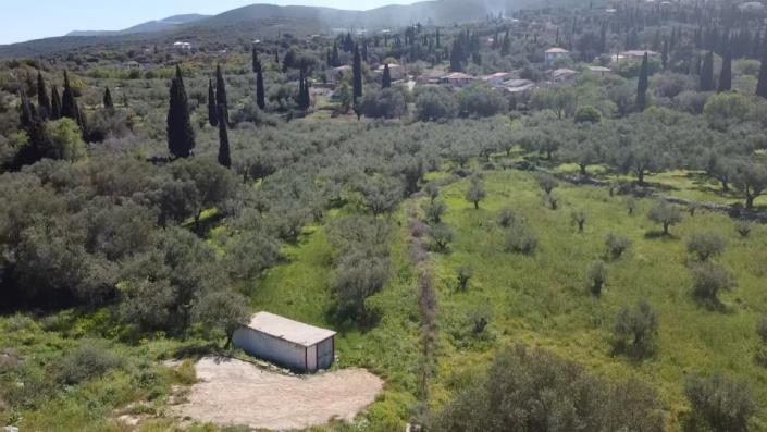 Image No.9-Terre à vendre à Zante