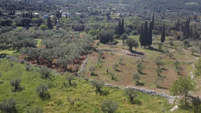 Image No.8-Terre à vendre à Zante