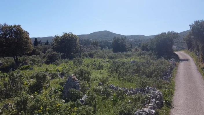 Image No.11-Terre à vendre à Zante