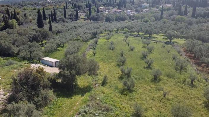 Image No.12-Terre à vendre à Zante