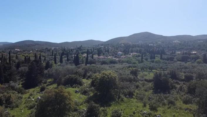 Image No.13-Terre à vendre à Zante