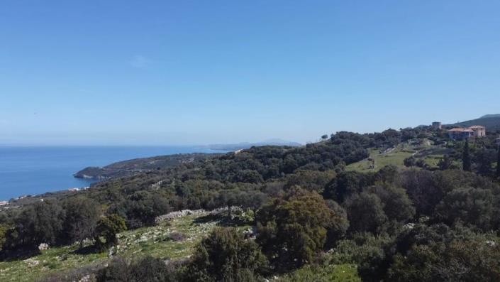 Image No.15-Terre à vendre à Zante