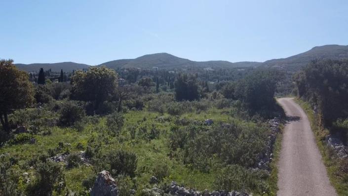 Image No.18-Terre à vendre à Zante