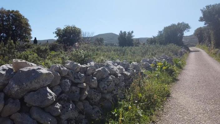 Image No.19-Terre à vendre à Zante