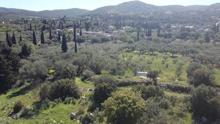 Image No.20-Terre à vendre à Zante