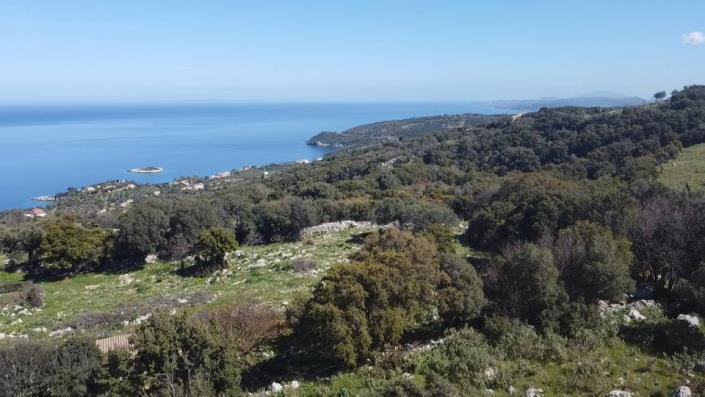 Image No.21-Terre à vendre à Zante