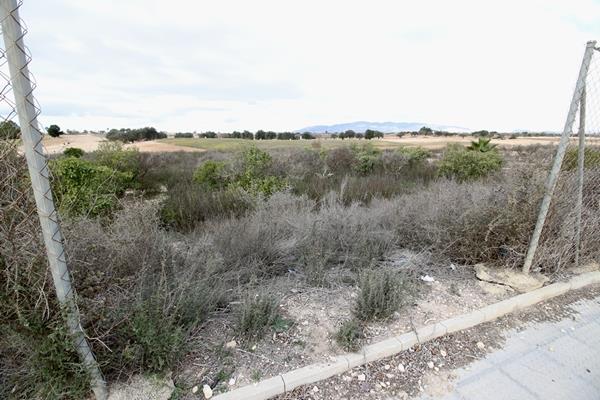 Image No.3-Terre à vendre à Hacienda del Alamo