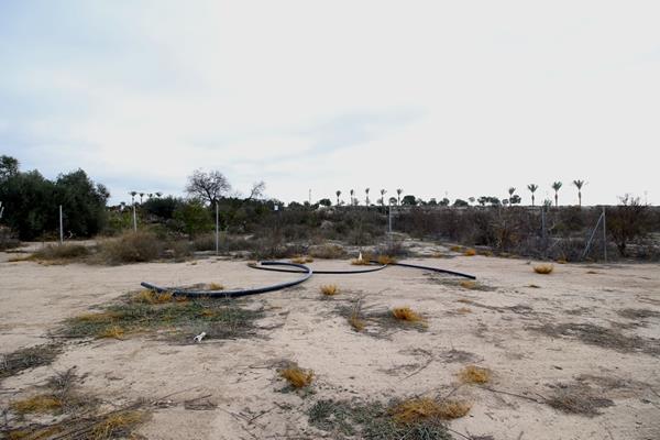 Image No.5-Terre à vendre à Hacienda del Alamo